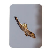 シャワンクングン草原の短い耳のフクロウ マグネット (縦)