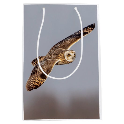 シャワンクングン草原の短い耳のフクロウ ミディアムペーパーバッグ (正面)