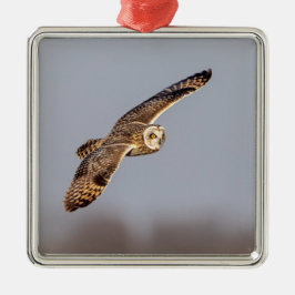 シャワンクングン草原の短い耳のフクロウ メタルオーナメント