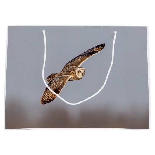 シャワンクングン草原の短い耳のフクロウ ラージペーパーバッグ (正面)