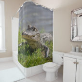 シャワーのわに シャワーカーテン (インサイチュ)