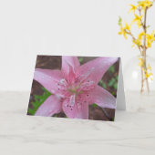 シャワーの後のピンクユリ カード (黄色い花)