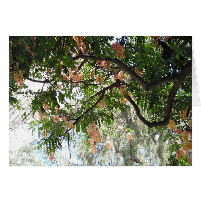 シャワーの木 (正面横)