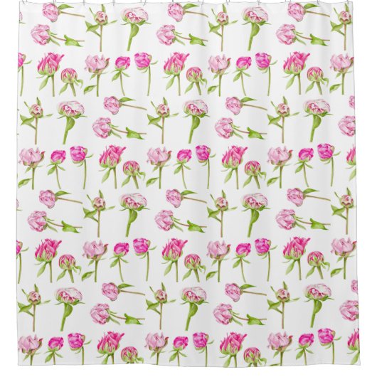 シャワーカーテンを望む シャワーカーテン (正面)