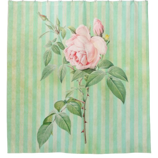 シャワーカーテングリーン&ホワイトストライプローズピンク シャワーカーテン (正面)