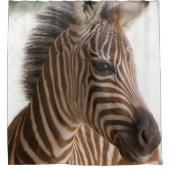 シャワーカーテンストライプゼブラ シャワーカーテン (正面)