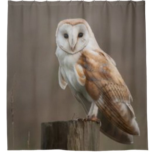 シャワーカーテンフクロウ シャワーカーテン (正面)