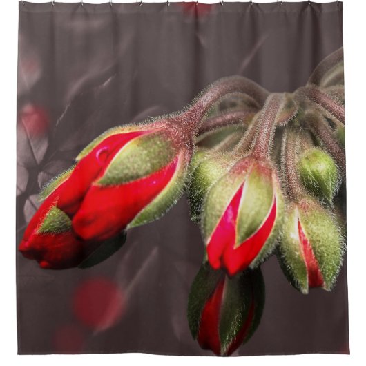 シャワーカーテン開花赤と暗 シャワーカーテン (正面)