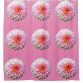 シャワーカーテン (正面)