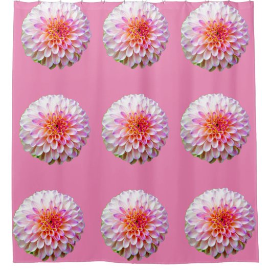 シャワーカーテン (正面)