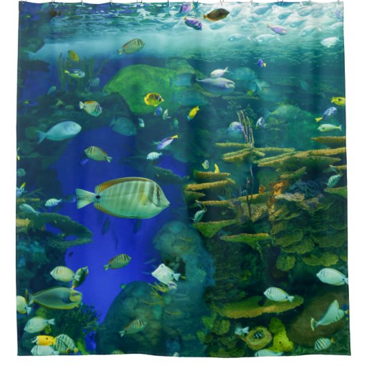 シャワーカーテン (正面)