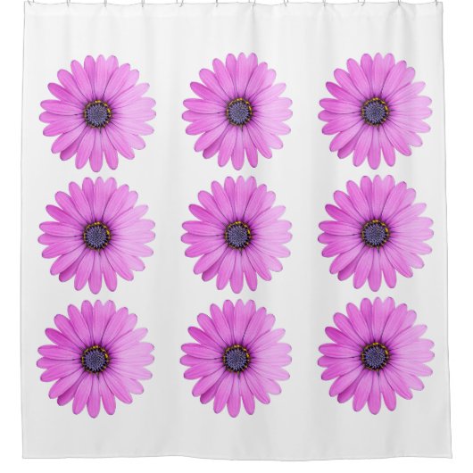 シャワーカーテン (正面)