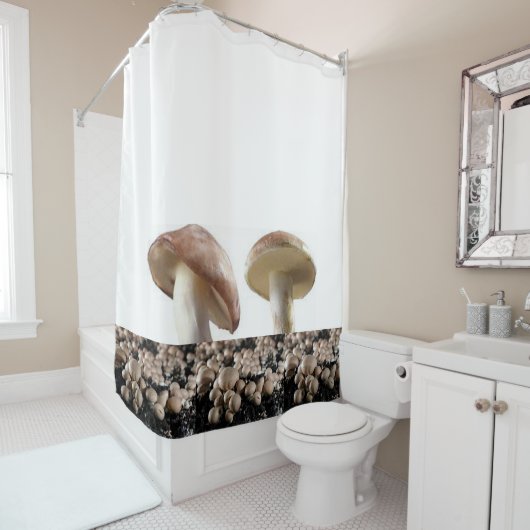 シャワーカーテン (インサイチュ)