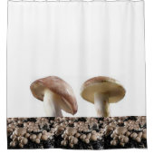 シャワーカーテン (正面)