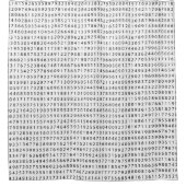 シャワーカーテン "π" 黒と白 (正面)
