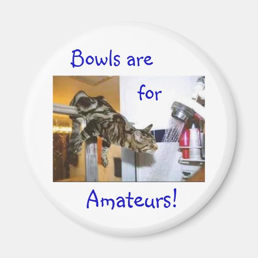 シャワーキャット マグネット (正面)