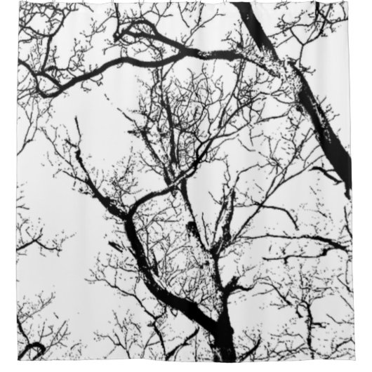 シャワー・カーテンの抽象芸術の白黒の月の木 シャワーカーテン (正面)