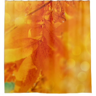 シャワー・カーテンの着色された秋の白熱葉 シャワーカーテン