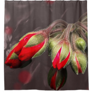 シャワー・カーテンの開花の赤および暗闇 シャワーカーテン