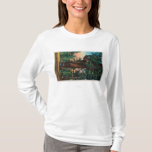 シャンデリアの木、下草公園 Tシャツ (正面)
