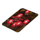 シャンデリア売り、ハーン・エル・カリリ・バザール。 マグネット (左側)