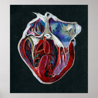 シャントプリント ポスター