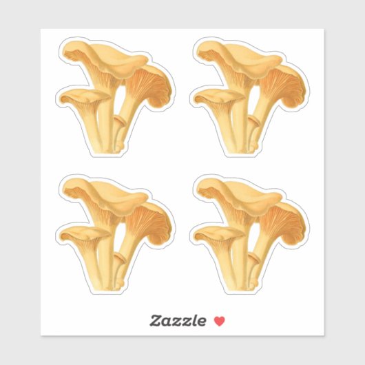 シャントレキノコヴィンテージ植物図 シール (シート)