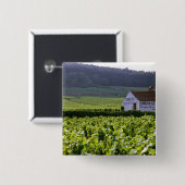 シャンバーティン·クロ·ド·ベゼ·グランド·クリュ·ヴィネヤード 缶バッジ (正面&裏面)