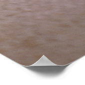 シャンバーナウチラス ポスター (角)