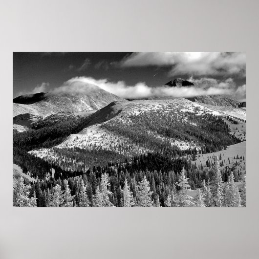 シャンパンの雪景色 ポスター (正面)