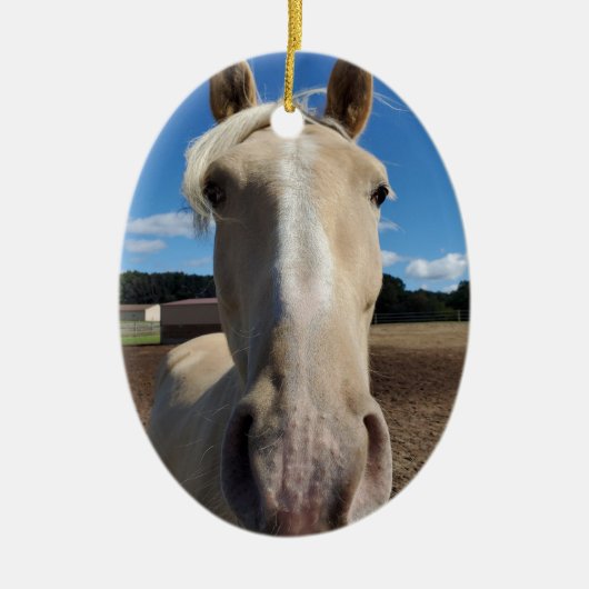 シャンパンテネシー歩くホースオーナメント セラミックオーナメント (正面)