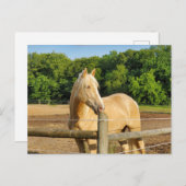 シャンパンホース ポストカード (正面/裏面)