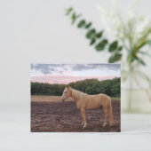 シャンパンホース ポストカード (スタンド正面)