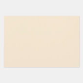 シャンパンメタリック無地のカラー |クラシック |エレガント | ラッピングペーパーシート (正面)