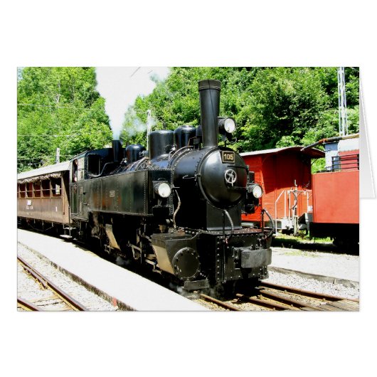 シャンビー鉄道博物館で列車 (正面横)