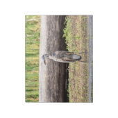 シャンプラ素晴らしン湖に立つブルーヘロン ノートパッド (回転)