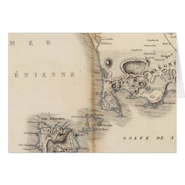 シャンプルグリーン (正面横)