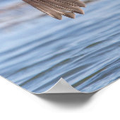 シャンプレーン湖で二重の紋付き鵜 ポスター (角)