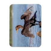 シャンプレーン湖で二重の紋付き鵜 マグネット (縦)