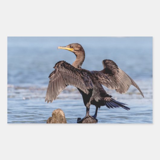 シャンプレーン湖で二重の紋付き鵜 長方形シール (正面)