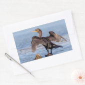 シャンプレーン湖で二重の紋付き鵜 長方形シール (封筒)