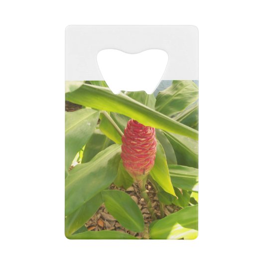 シャンプーのショウガの花 クレジットカード栓抜き (正面)