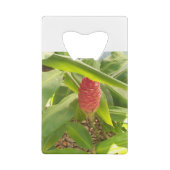 シャンプーのショウガの花 クレジットカード栓抜き (裏面)