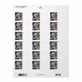 シャンプー日 ラベル (フルシート)