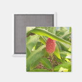 シャンプー生姜花 マグネット (正面/裏面)