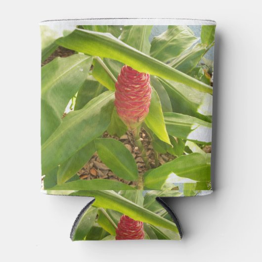 シャンプー生姜花 缶クーラー (正面)