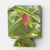 シャンプー生姜花 缶クーラー (裏面)