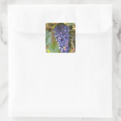 シャンベルタンにある一房のピノ・ノワール スクエアシール (バッグ)