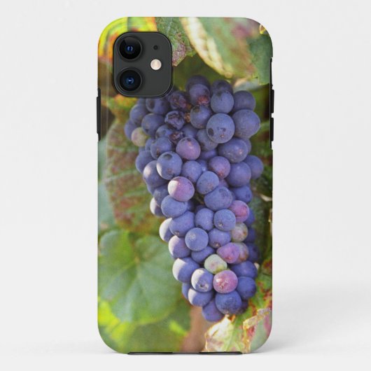 シャンベルタンにある一房のピノ・ノワール Case-Mate iPhoneケース (裏面)