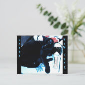 シャンペン黒猫の新年の郵便はがき シーズンポストカード (スタンド正面)